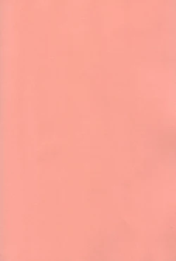 Page 24 of Taihou wa Teitoku to Ichaichashitai