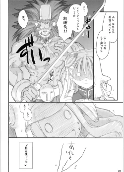 Page 27 of Noble Liquid