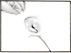 Page 13 of CORRUPT&ROTTEN Cutey Liddy no Funiku no Andouille "Sono San"