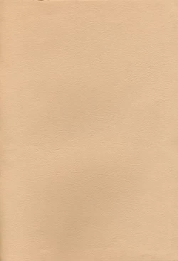 Page 2 of Yamakoshou