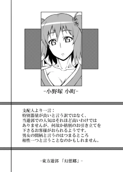 Page 19 of Touhou Project no Hon Soushuuhen