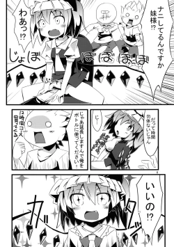 Page 6 of PETBOTTLER FLANDRE