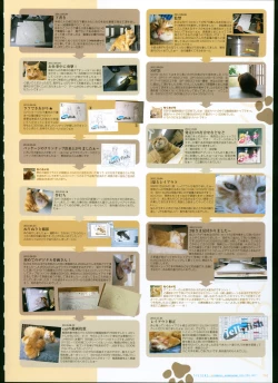 Page 146 of SISTERSULTRA EDITION Official Funbook 1990/0801-0817