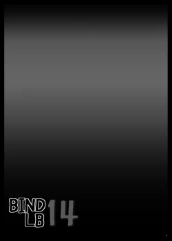 Page 3 of BindLB14