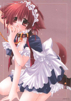 Download White Lolite