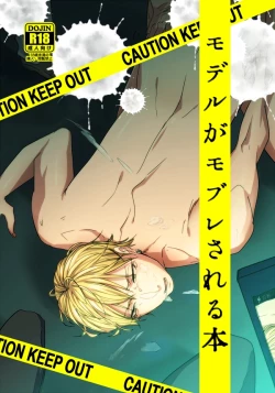 Page 1 of Model ga Mobure sareru Hon