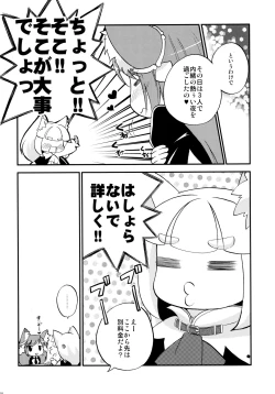 Page 9 of みんなだいすきルシェのほん
