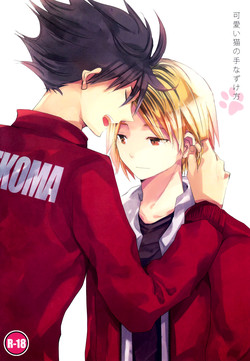 Download Kawaii Neko no Tenazukekata | How to Tame a Cute Cat