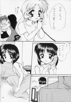 Page 13 of Shiawase No Katachi