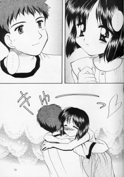 Page 14 of Shiawase No Katachi