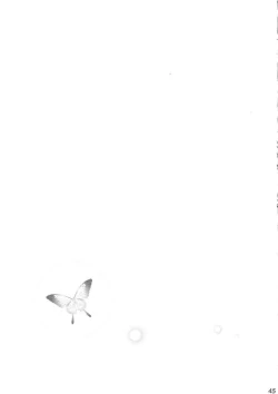 Page 44 of Rose Garden