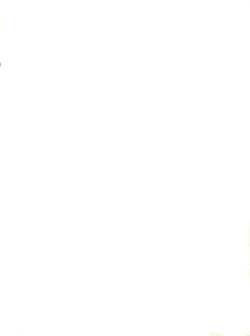 Page 2 of Dynamic was Ruby