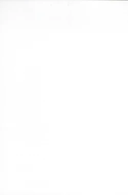 Page 29 of Some One One?