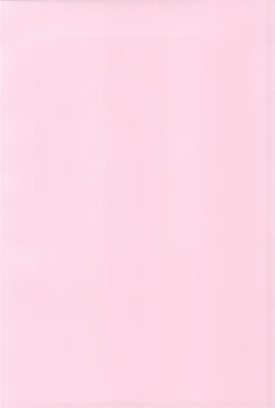 Page 4 of Some One One?