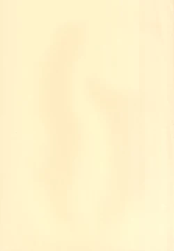 Page 3 of Ittsu Main 2