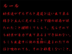 Page 37 of ルール