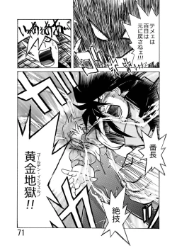 Page 74 of Katameya Honpo 2