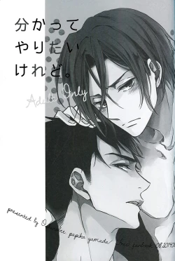 Page 2 of Wakatte yaritai keredo