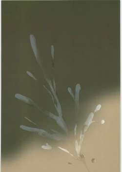 Page 30 of Ikuyo-san ga Gakkou no Seitokaichou ni Netorareru Hon