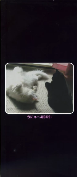 Page 3 of Tsuki Gurui