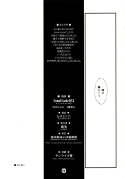 Page 17 of Samplitude DC2