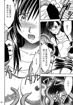 Page 45 of Kajitsu Soushuuhen