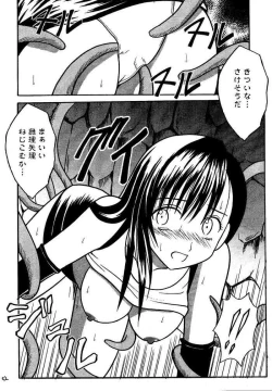 Page 51 of Kajitsu Soushuuhen