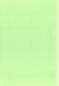 Page 209 of Shinkon Shimai