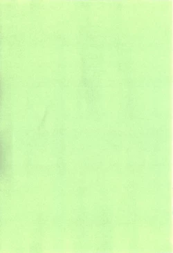 Page 5 of Shinkon Shimai