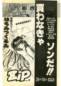 Page 223 of COMIC Papipo Gaiden 1995-03