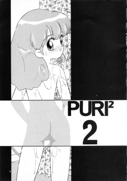 Page 4 of PURI² 2