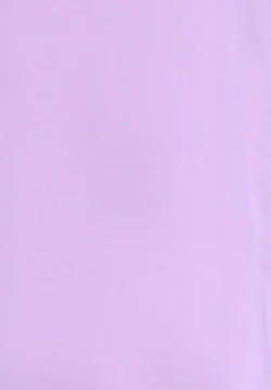 Page 2 of Princess Rape End