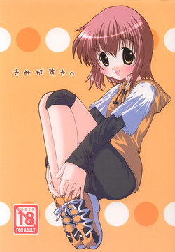 Download Kimi ga Suki