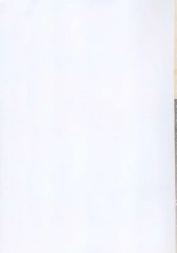 Page 31 of Ilya Bunhokan Keikaku Bangaihen Ilya x3