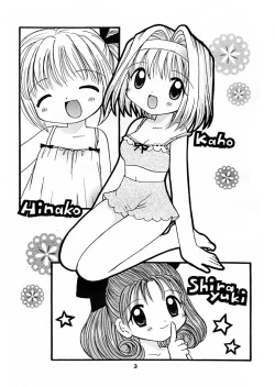 Page 2 of Imouto Kenkyuu Nisshi 4