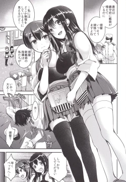 Page 3 of Teitoku o Dame ni Suru Junyuu Tekoki