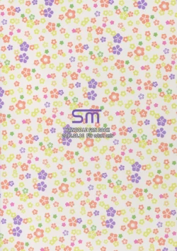 Page 2 of Admiral Kouryaku Sakusen