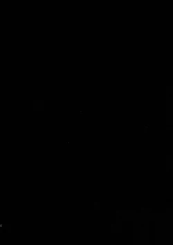 Page 28 of Usagi no Tane