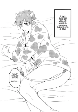 Page 4 of Mako Milk.