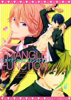 Page 1 of TRIANGLE FUNCTION ver. DT