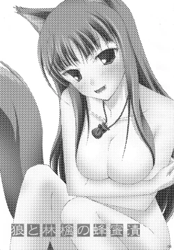 Page 3 of Ookami to Ringo no Hachimitsuzuke