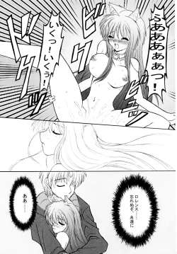 Page 15 of Ookami to Ai no Kusari