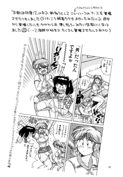 Page 15 of R-18 VIII