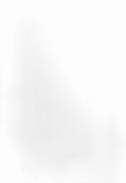 Page 2 of Made In Male 2