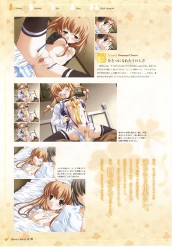 Page 85 of Clover Heart's Visual Fan Book