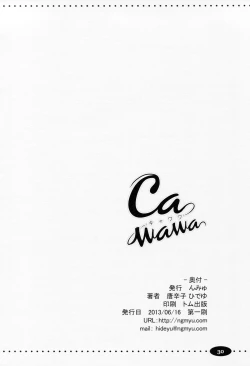 Page 29 of CAWAWA