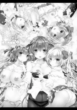 Page 4 of Star Setoran Touhou Sairokushuu2