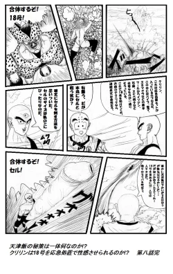 Page 9 of Pokochin Ball H 3: Cell vs C18