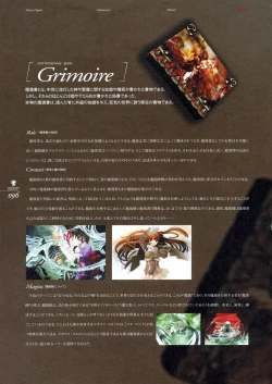 Page 118 of Deus Machina Demonbane Visual Fan Book