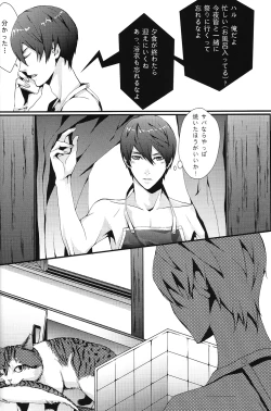 Page 4 of SUMMER DREAM